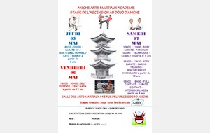 Stage gratuit à Aniche - Baby Karaté - Body Karaté et Combat