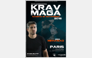 Stage international de Krav Maga avec Meni Mehabad : Krav Maga Haim Zut
