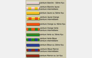 Passage de grades au KCG