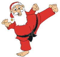 Arbre de Noël 2016 : Karaté Cub Gravelines